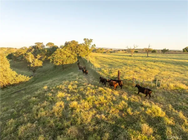 $3,399,000 | 5385 Camp 8 Road, Paso Robles, CA 93446