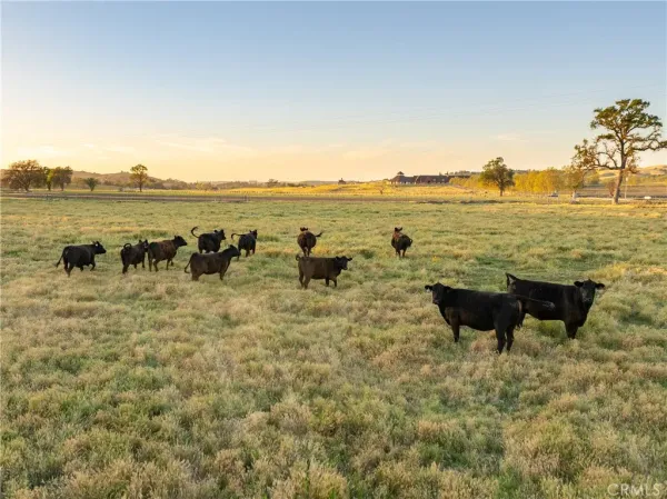 $3,399,000 | 5385 Camp 8 Road, Paso Robles, CA 93446