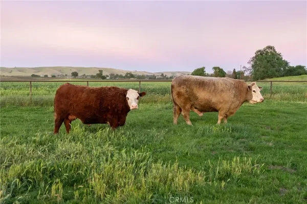 $3,399,000 | 5385 Camp 8 Road, Paso Robles, CA 93446