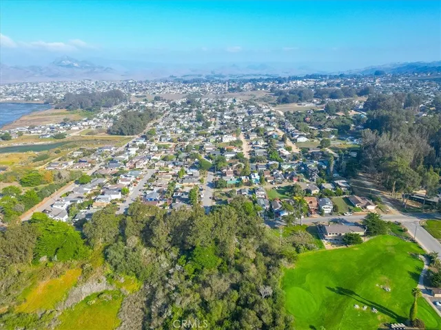 an aerial view of residential houses with outdoor space and trees