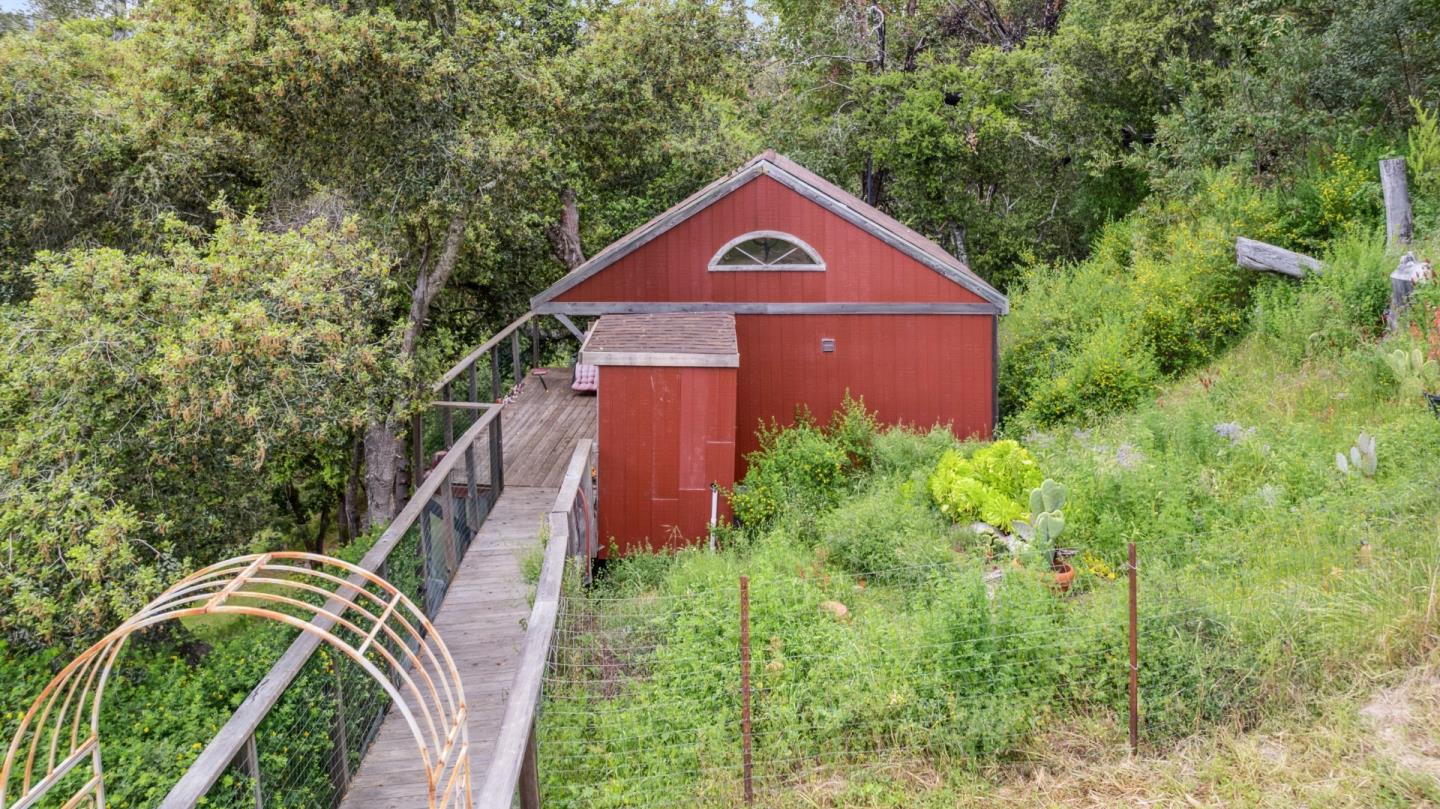 234 Dorrance Road Boulder Creek, CA 95006 - Photo 19 of 45 a view of a small yard with large trees
