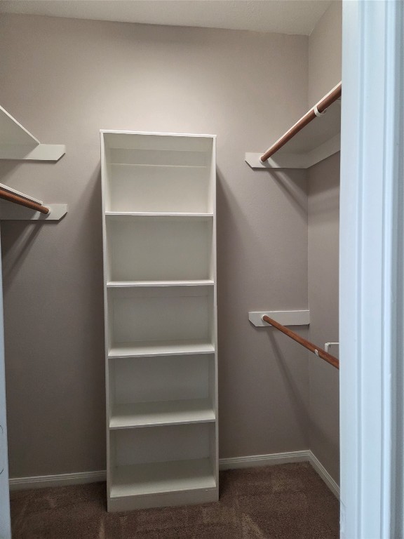2203 Winchester Lake Rosenberg, TX 77471 - Photo 12 of 20 a view of walk in closet with empty racks