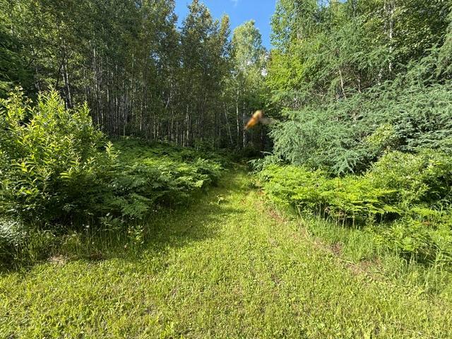 Tbd North Moose Lake Road Northeast Pennington, MN 56663 - Photo 7 of 26