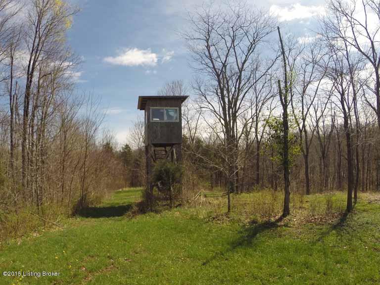 1560 Cedarmore Road Bagdad, KY 40003 - Photo 44 of 52 Hunting Stand on Property