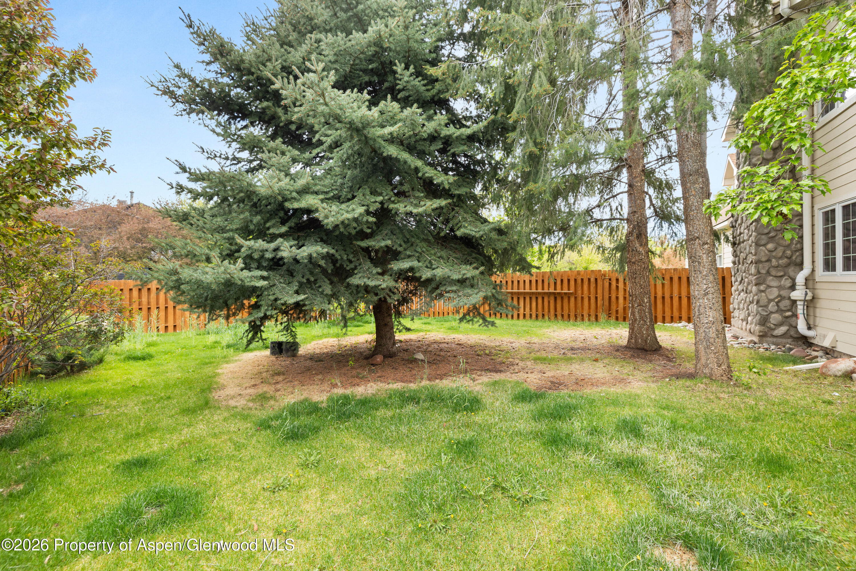 389 Rabbit Road Carbondale, CO 81623 - Photo 18 of 21 Yard