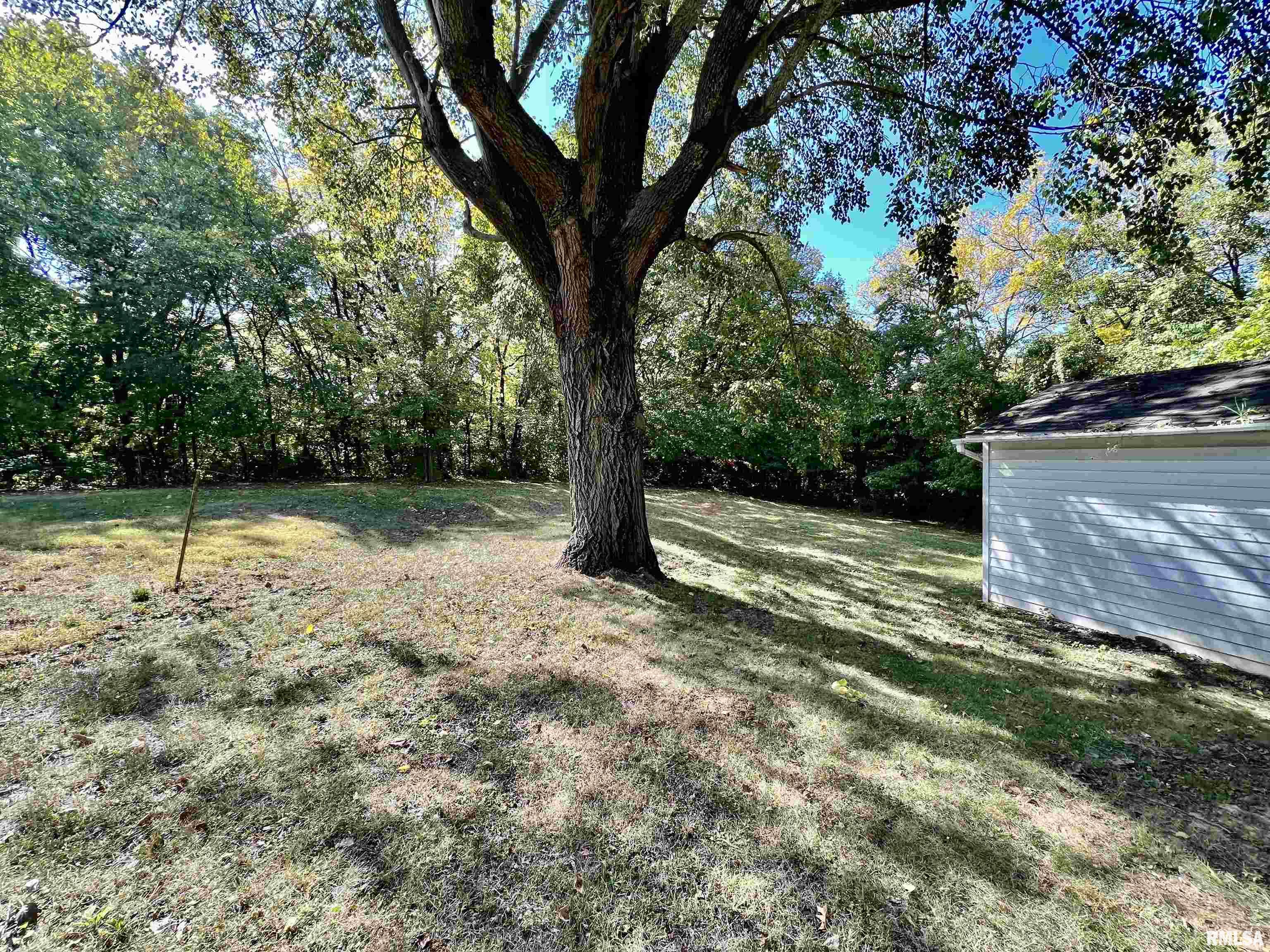 516 Springfield Road East Peoria, IL 61611 - Photo 33 of 35 Gallery Image 33
