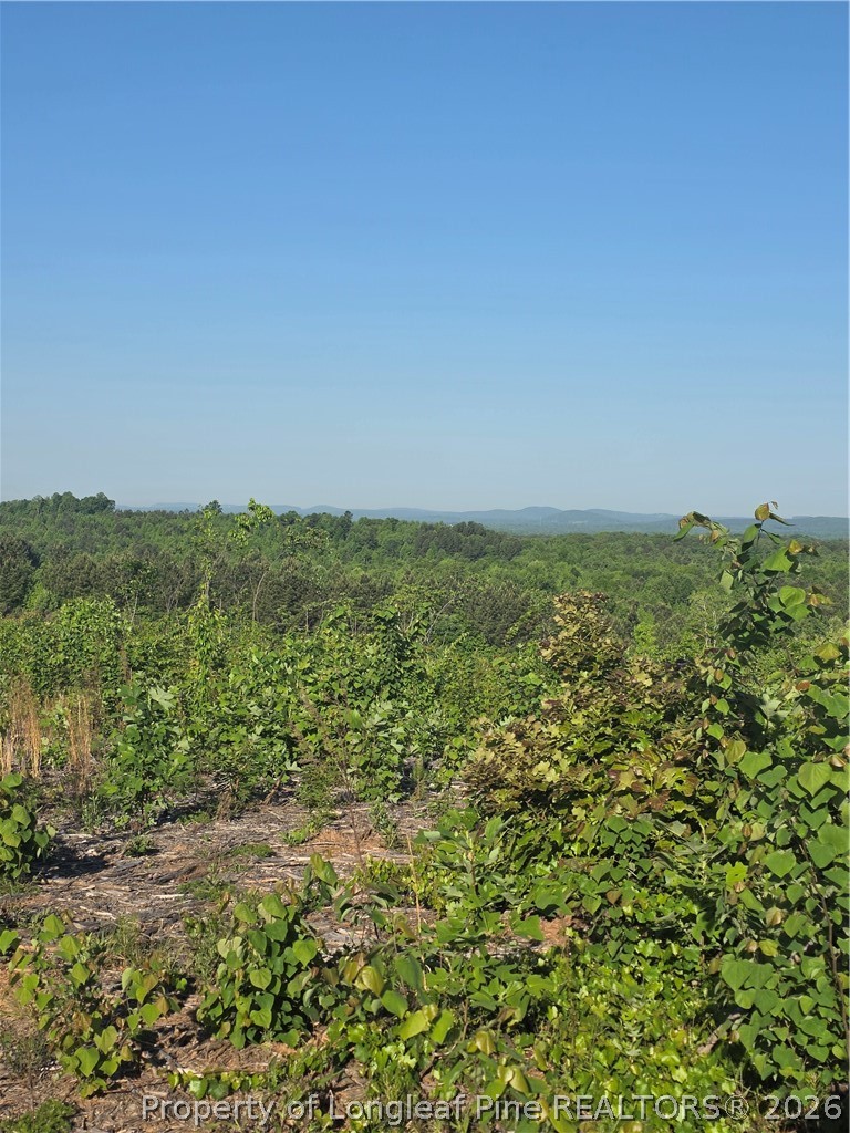 0 Skeen View Road Asheboro, NC 27205 - Photo 4 of 20 a view of a field with an ocean