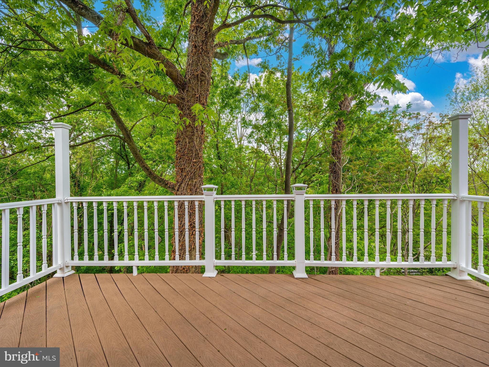 2730 Lander Road Jefferson, MD 21755 - Photo 46 of 74 Deck