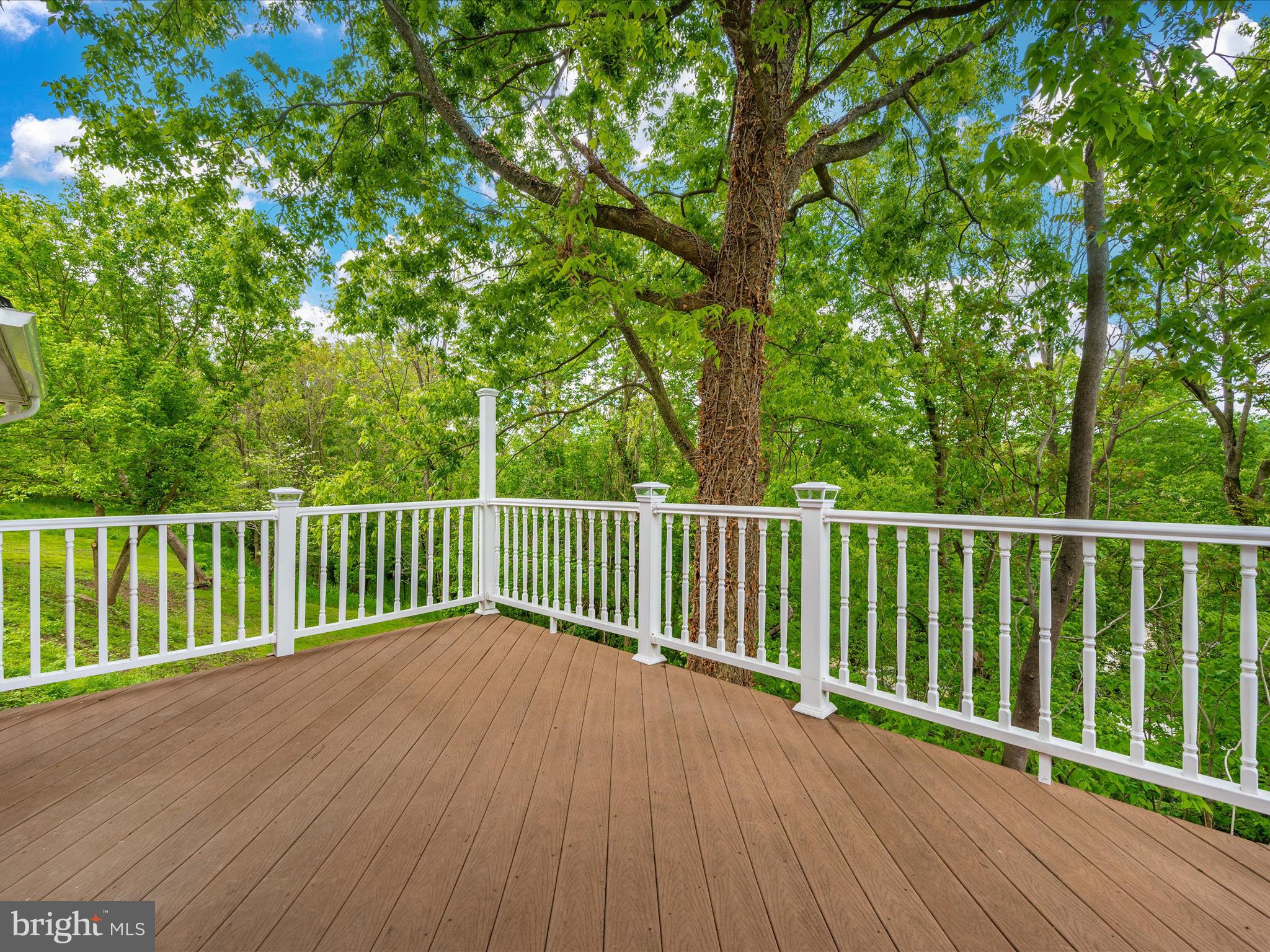 2730 Lander Road Jefferson, MD 21755 - Photo 47 of 74 Deck