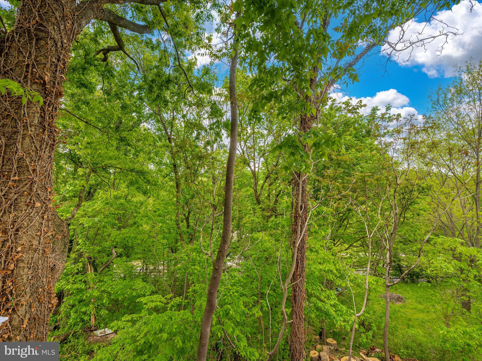 2730 Lander Road Jefferson, MD 21755 - Photo 51 of 74 Deck View