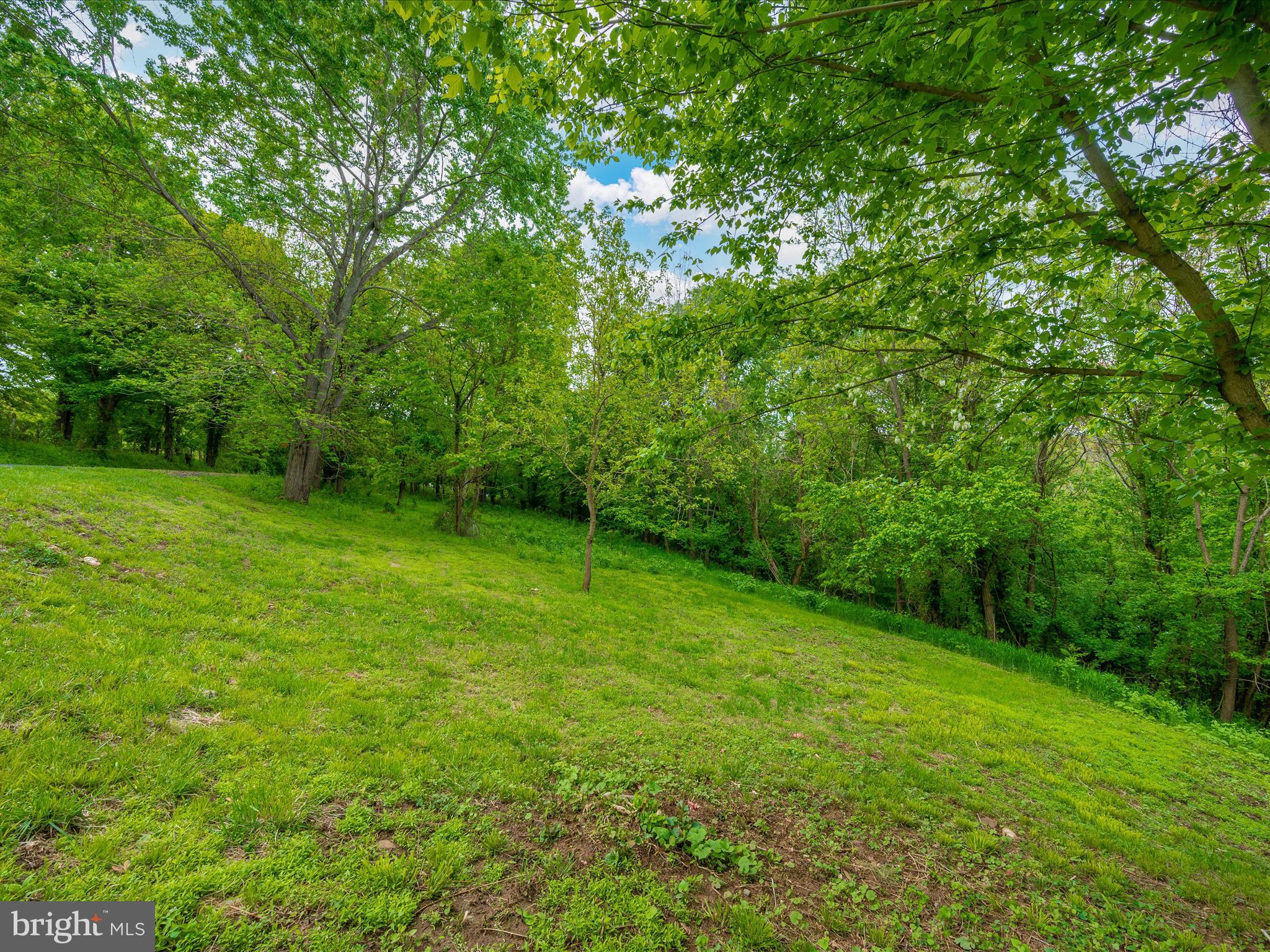 2730 Lander Road Jefferson, MD 21755 - Photo 65 of 74 Exterior Back