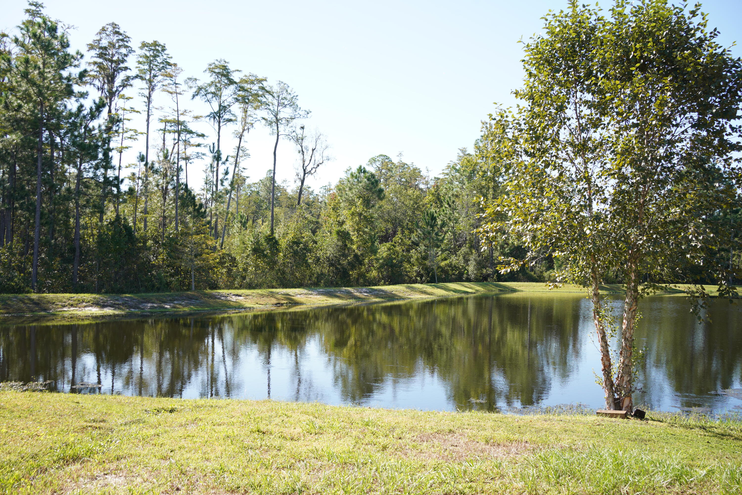 855 Sycamore Way Orange Park, FL 32073 - Photo 12 of 79 DSC03434