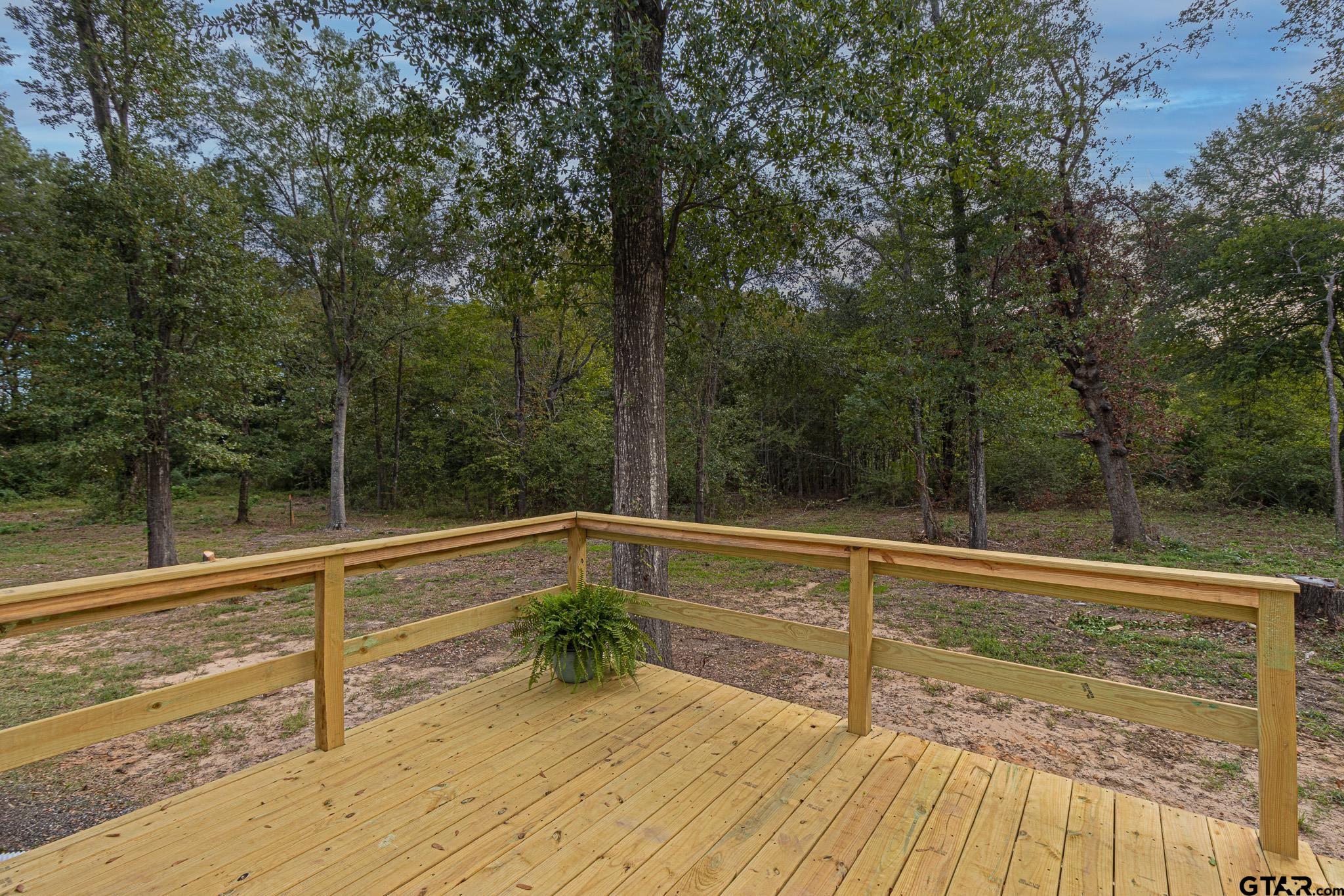 9806 FM 773 Murchison, TX 75778 - Photo 34 of 35 a view of a swimming pool with a large trees