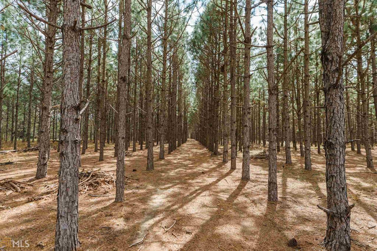 0 Holland Road Metter, GA 30439 - Photo 1 of 1 a view of a forest with trees