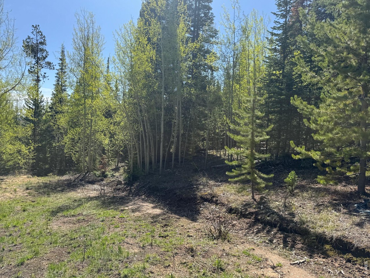 44 Wilderness Road Walden, CO 80430 - Photo 4 of 8