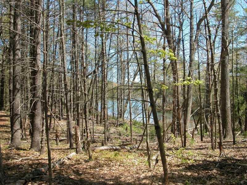 5 Barrell's Grove Road York, ME 03909 - Photo 7 of 20 Land/Lot.