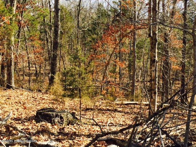 5 Shores Road Falls Of Rough, KY 40119 - Photo 4 of 10 FullSizeRender-14.jpg