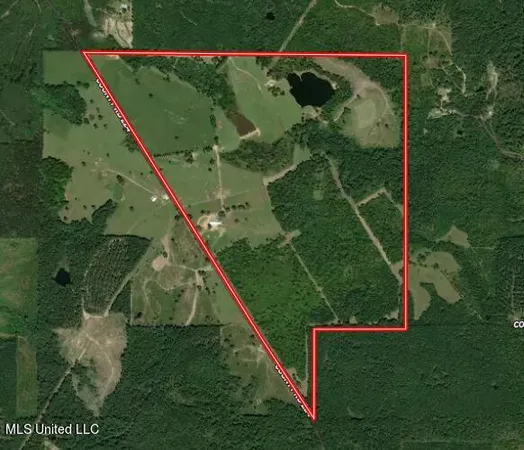 $1,400,000 | 107 Co Road, Pachuta, MS 39347