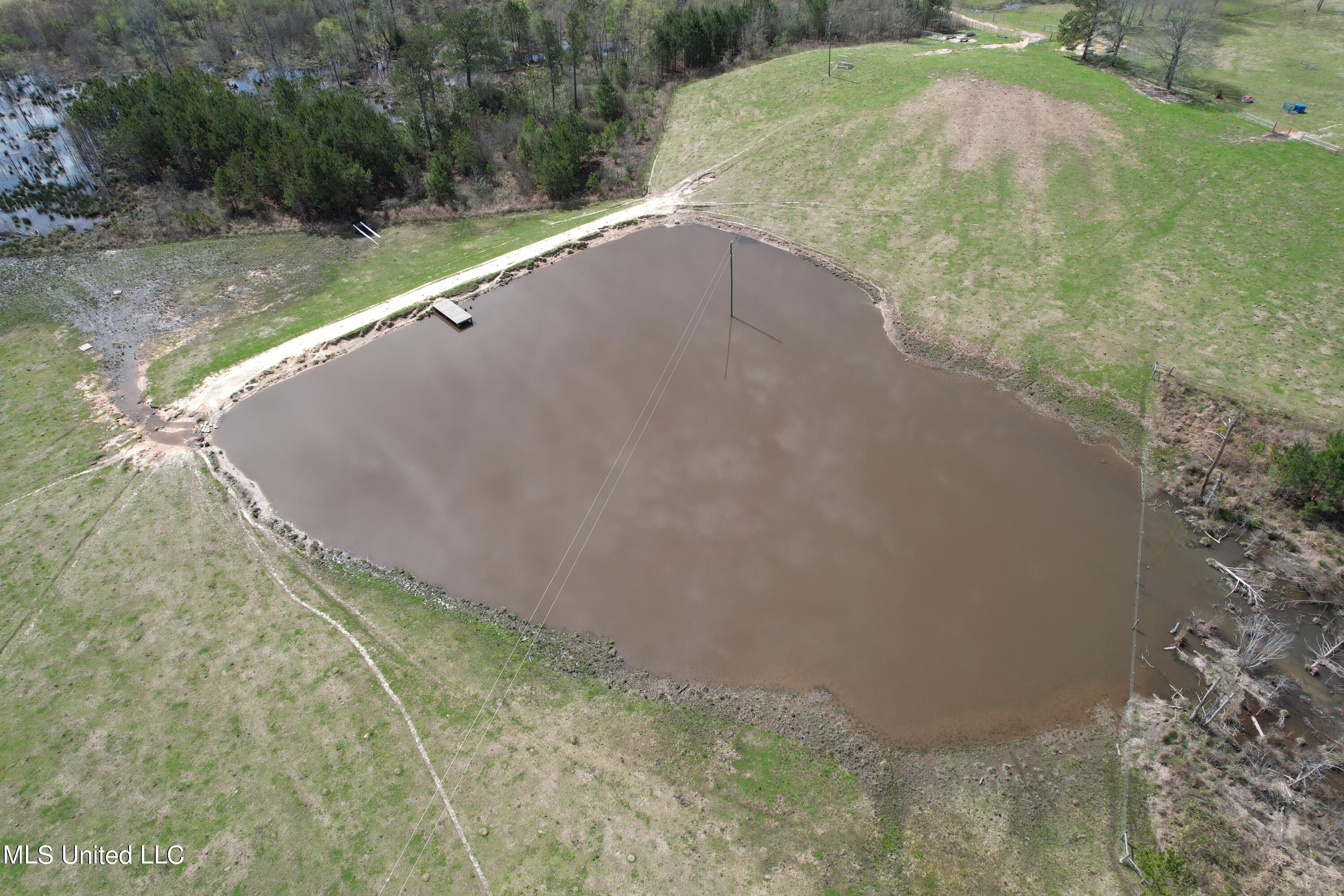 107 Co Road Pachuta, MS 39347 - Photo 13 of 107 DJI_0995