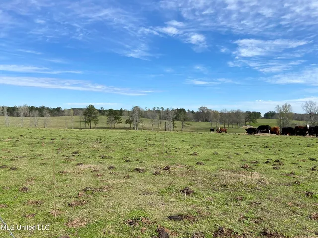 $1,699,000 | 107 Co Road, Pachuta, MS 39347