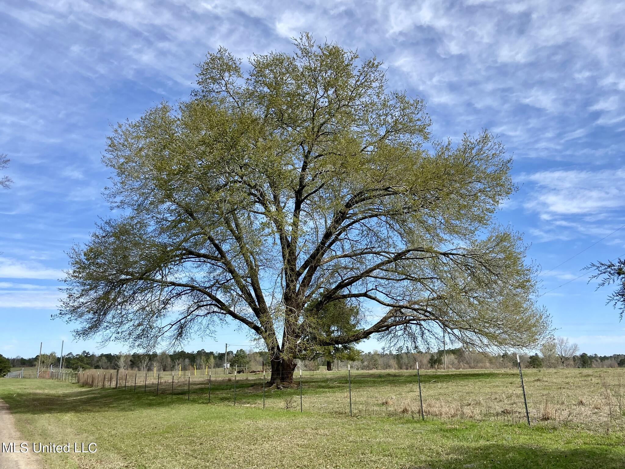 107 Co Road Pachuta, MS 39347 - Photo 18 of 107 IMG_3429