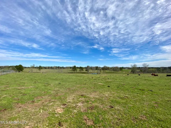 $1,400,000 | 107 Co Road, Pachuta, MS 39347