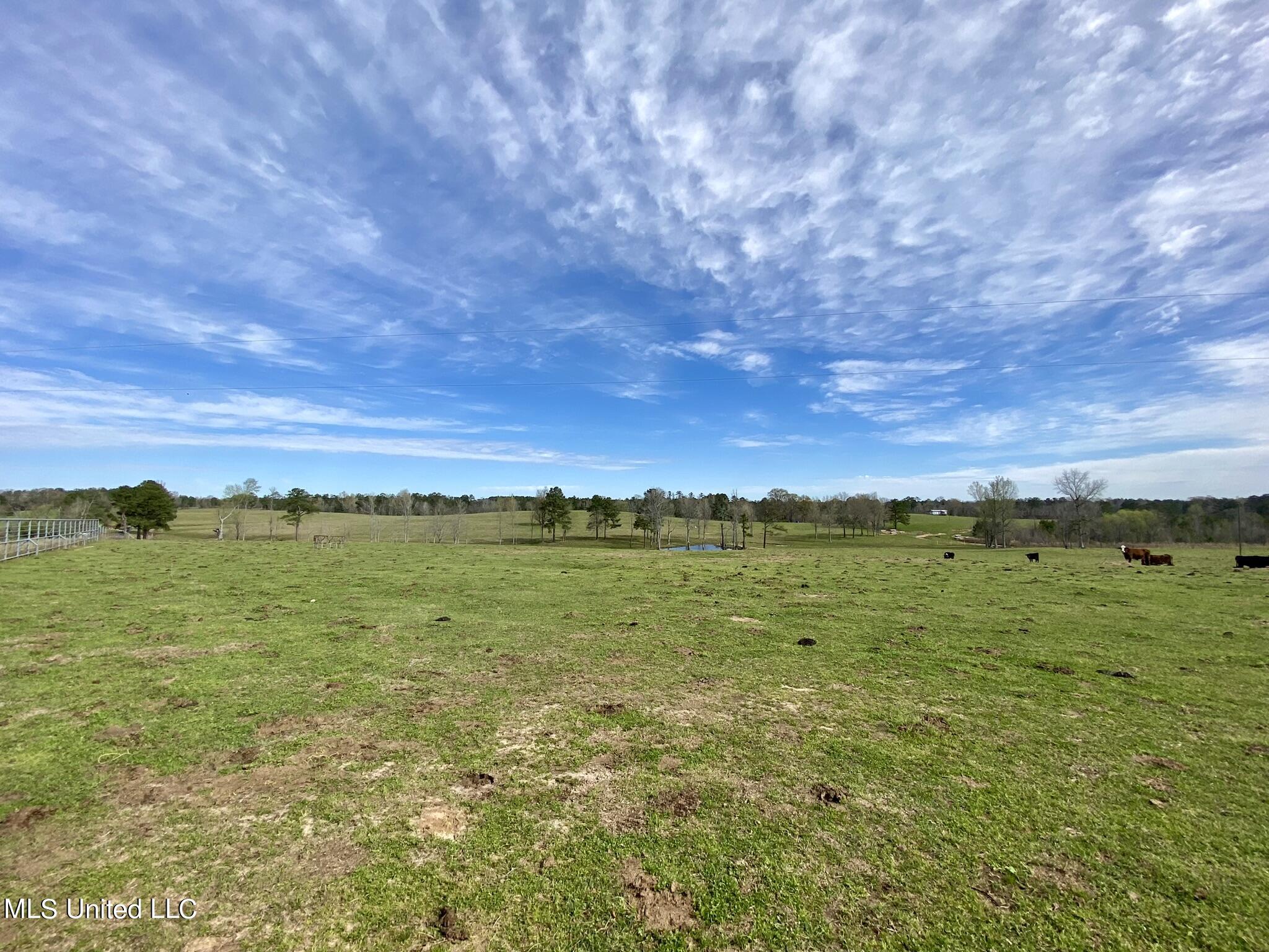 107 Co Road Pachuta, MS 39347 - Photo 20 of 107 IMG_3439