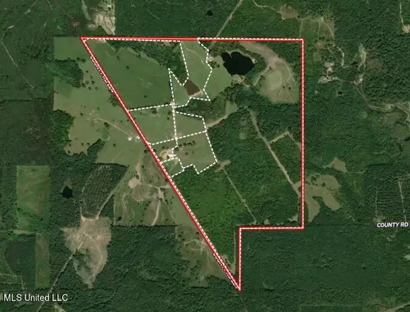 $1,400,000 | 107 Co Road, Pachuta, MS 39347