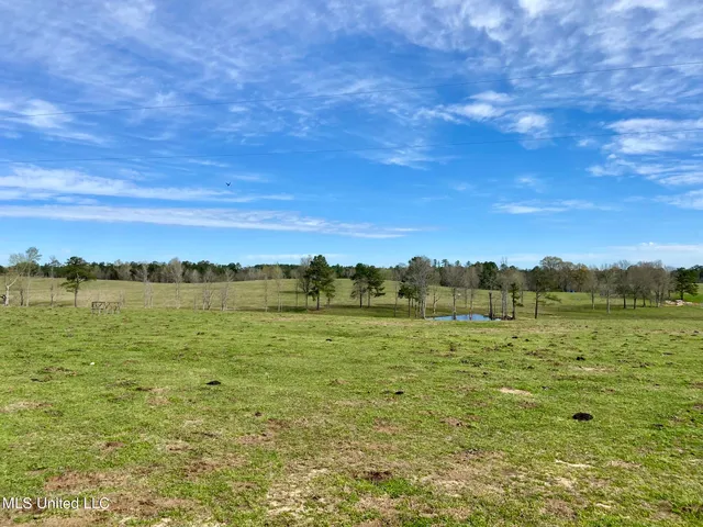 $1,699,000 | 107 Co Road, Pachuta, MS 39347