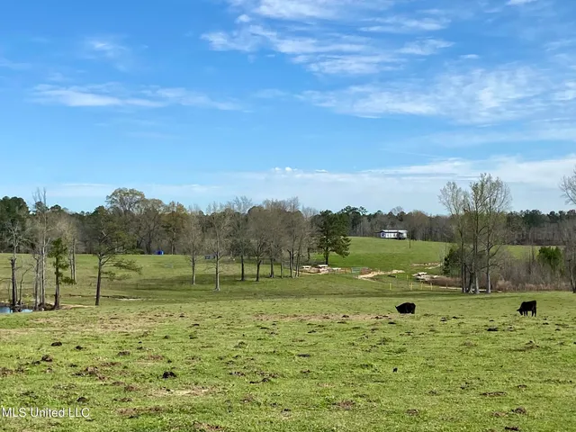 $1,699,000 | 107 Co Road, Pachuta, MS 39347