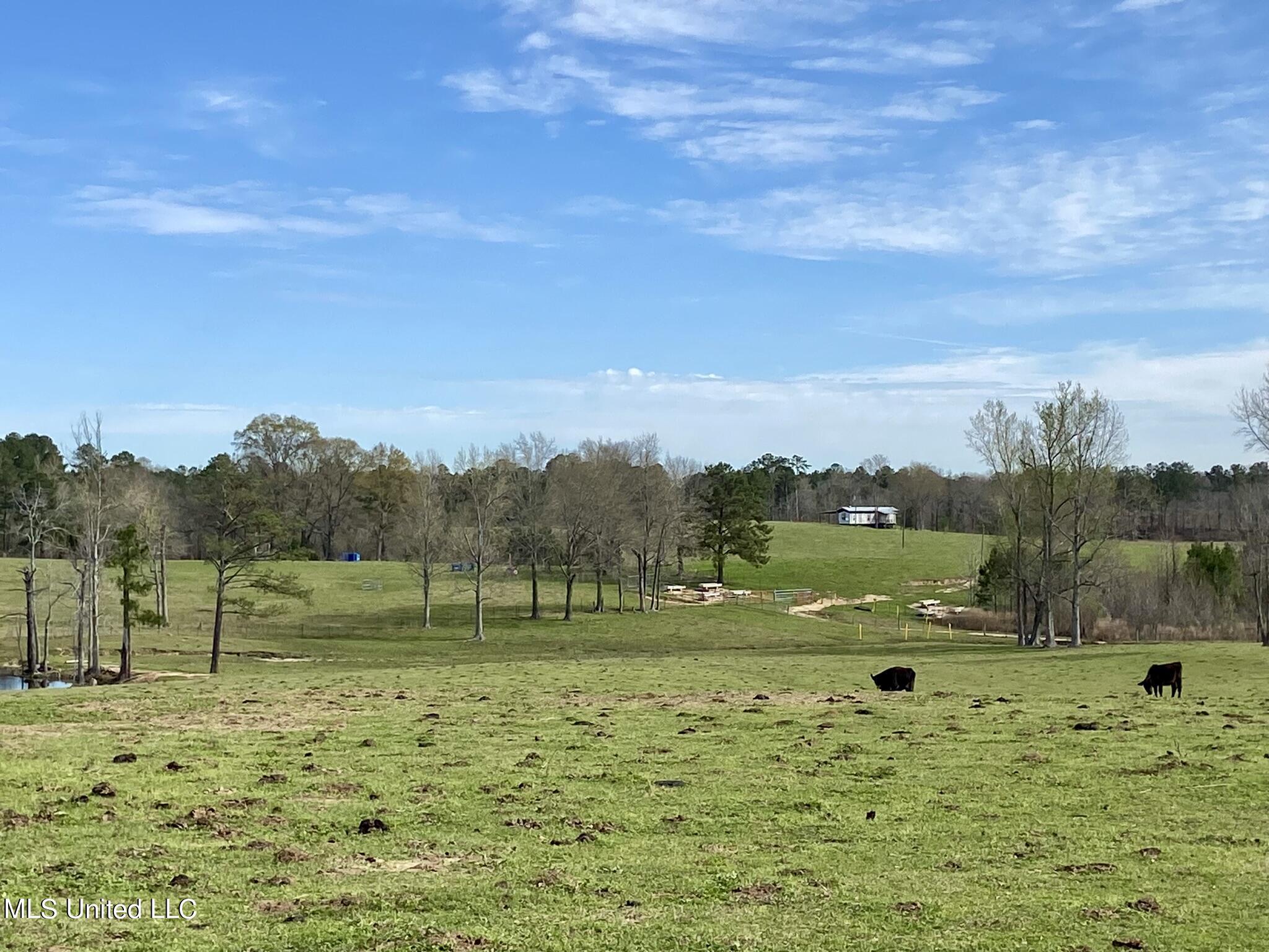 107 Co Road Pachuta, MS 39347 - Photo 22 of 107 IMG_3445