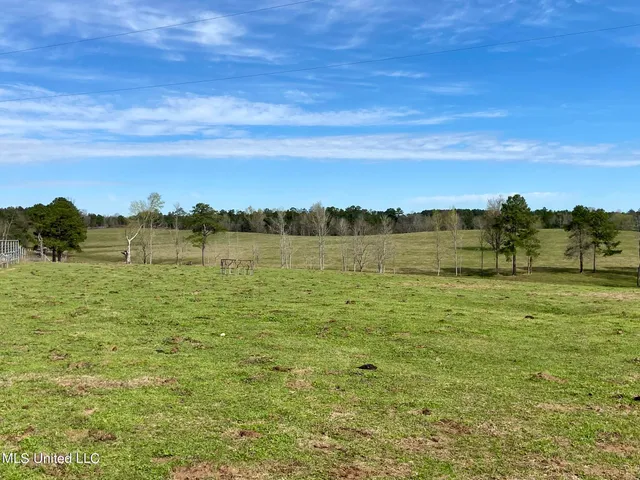 $1,699,000 | 107 Co Road, Pachuta, MS 39347