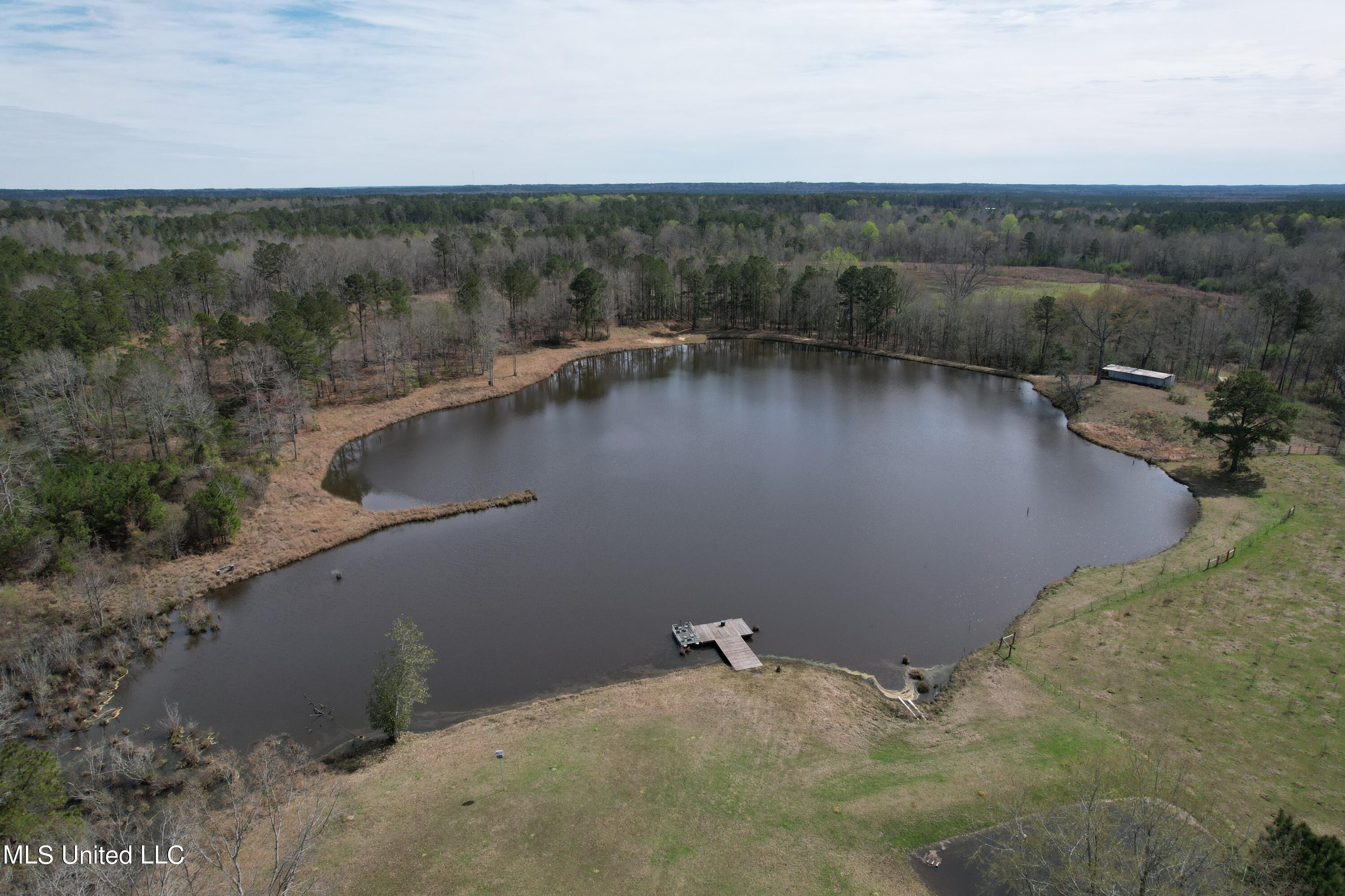 107 Co Road Pachuta, MS 39347 - Photo 25 of 107 DJI_0951