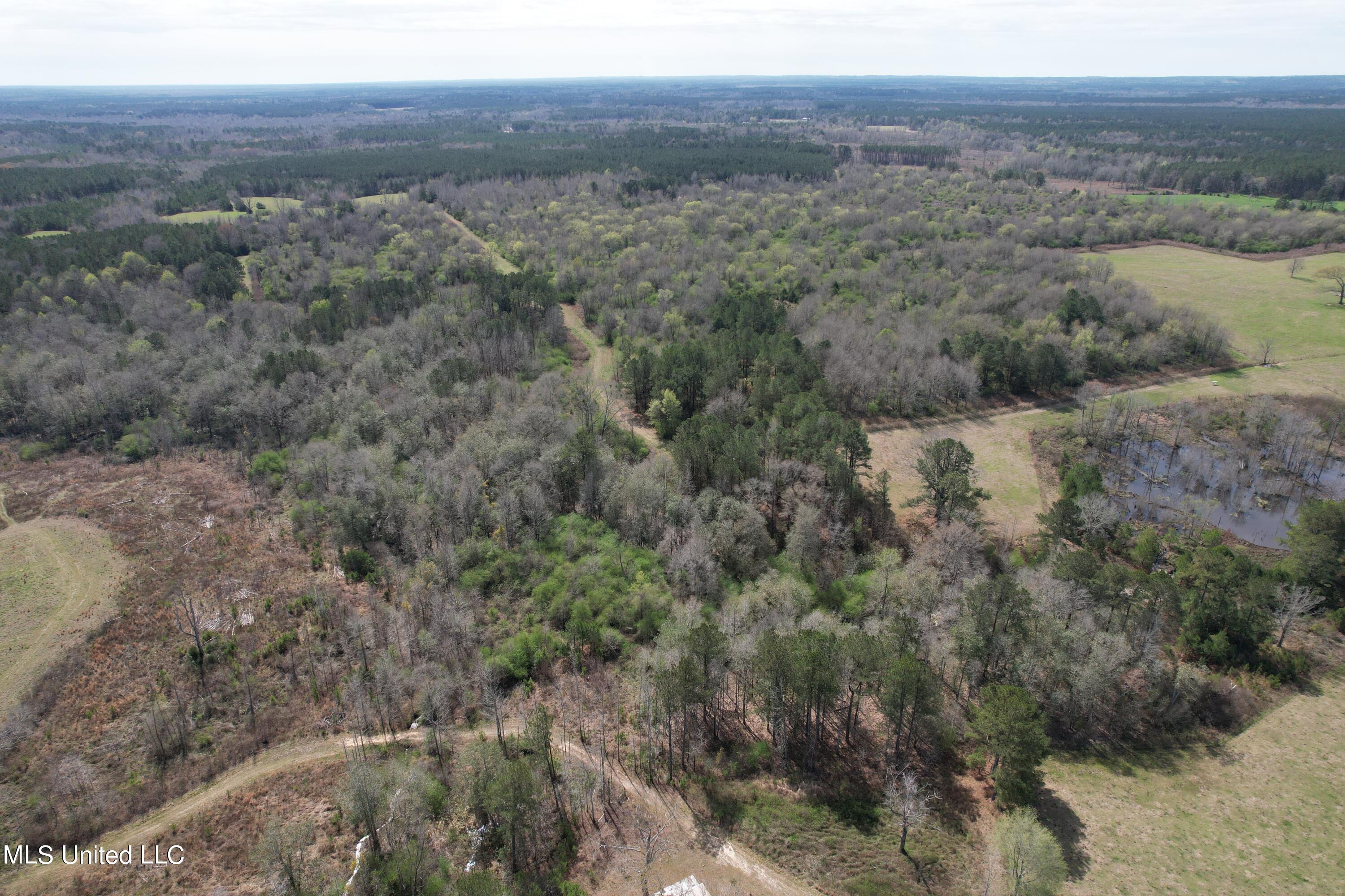 107 Co Road Pachuta, MS 39347 - Photo 28 of 107 DJI_0955