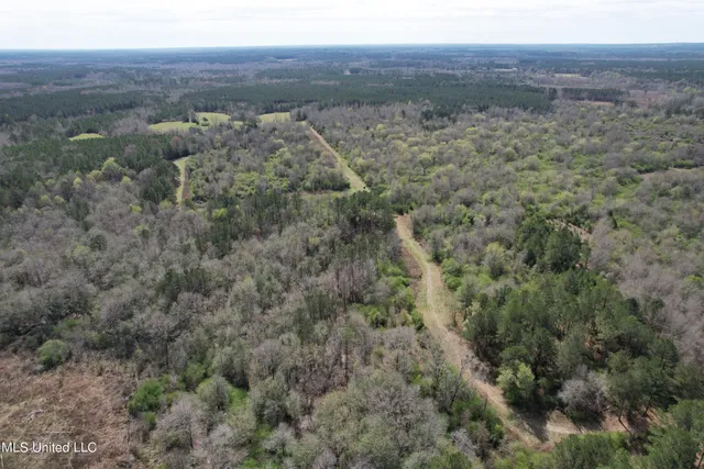 $1,699,000 | 107 Co Road, Pachuta, MS 39347