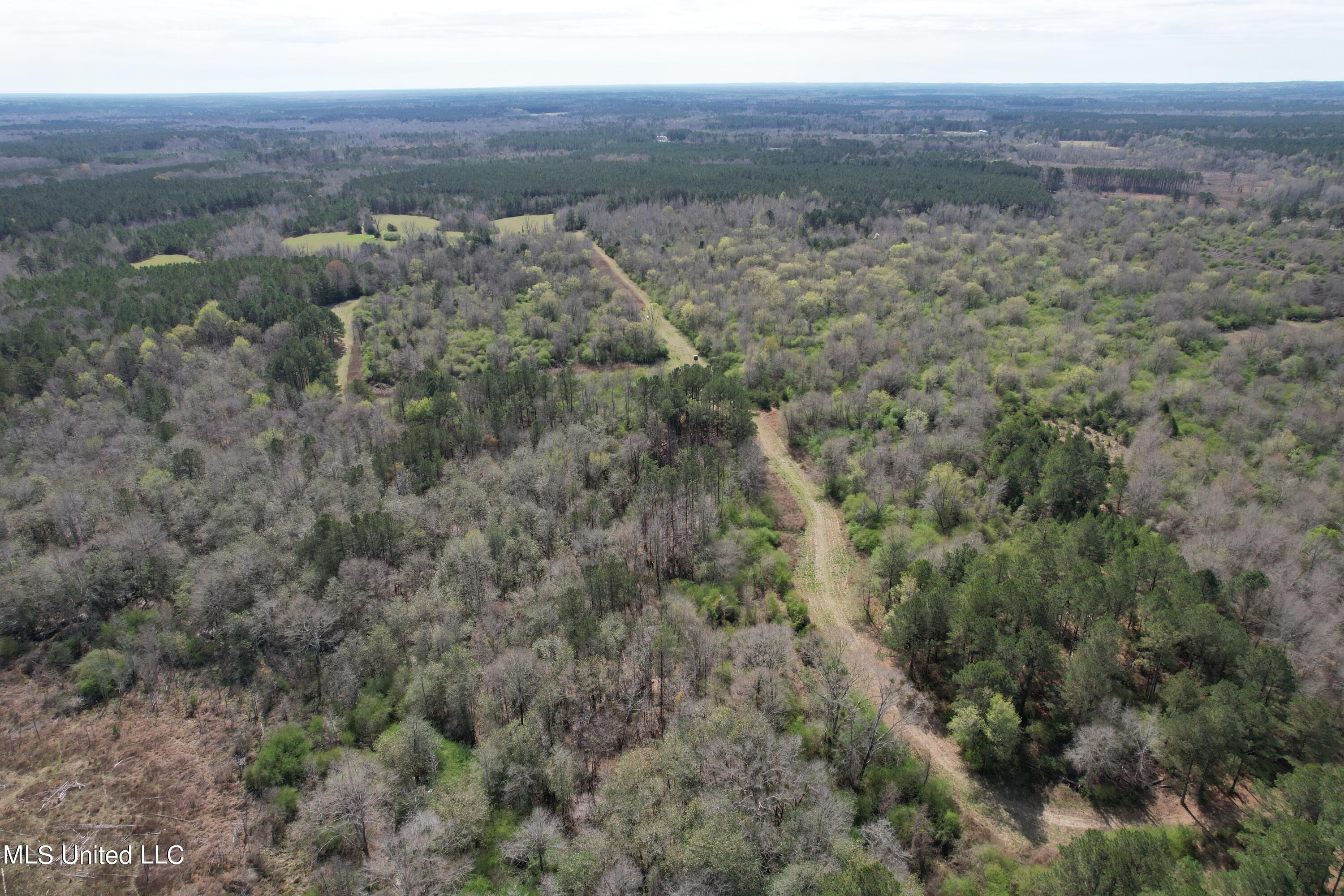107 Co Road Pachuta, MS 39347 - Photo 30 of 107 DJI_0958