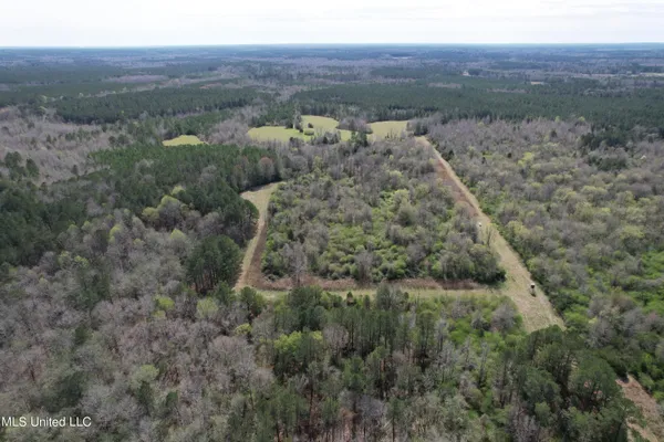 $1,400,000 | 107 Co Road, Pachuta, MS 39347
