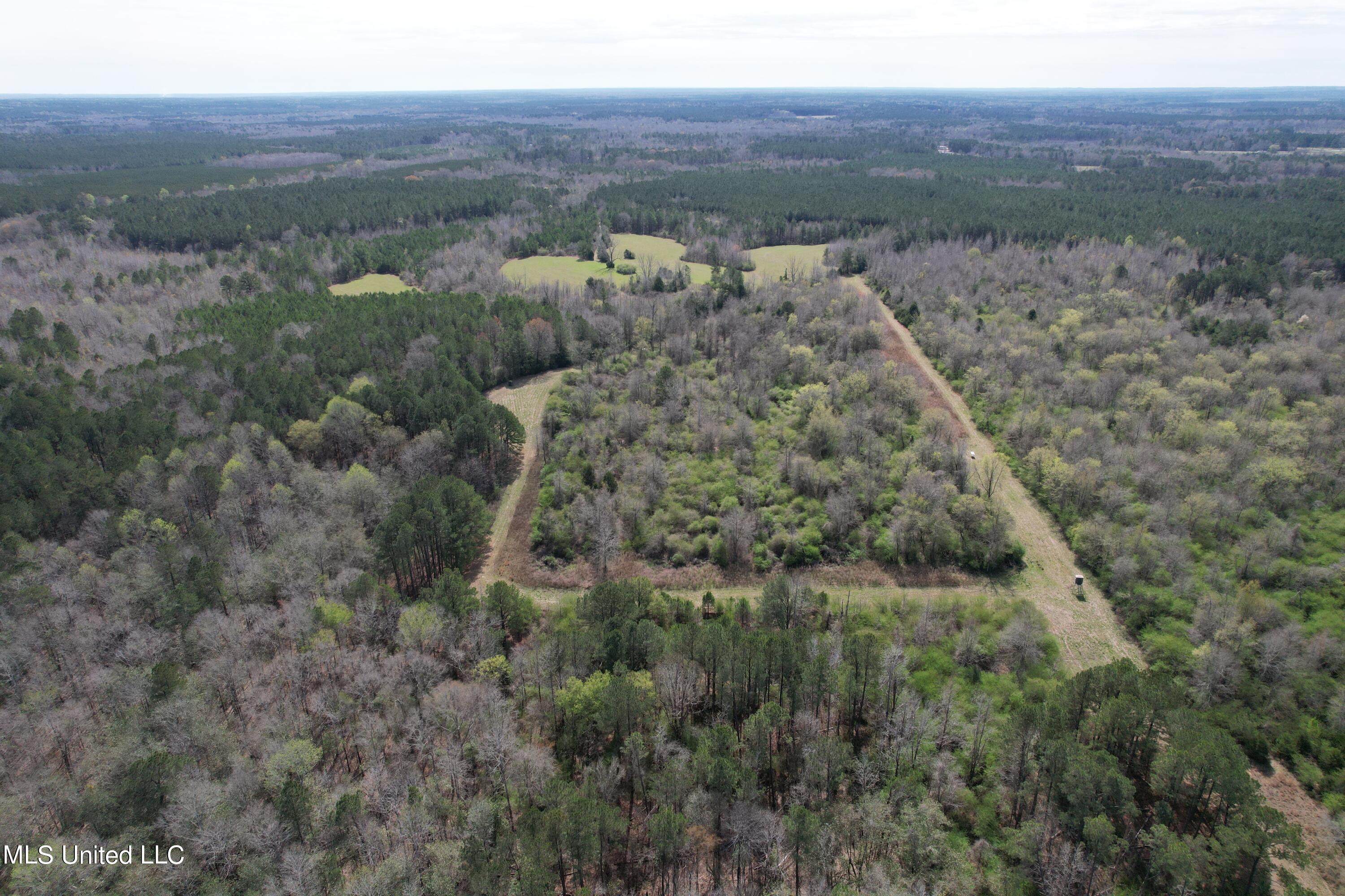 107 Co Road Pachuta, MS 39347 - Photo 31 of 107 DJI_0959
