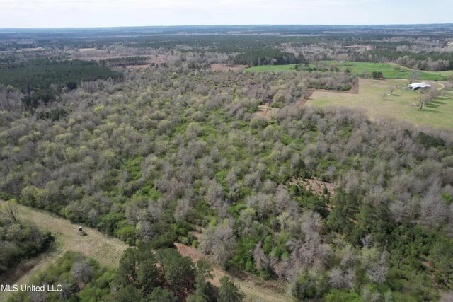 $1,699,000 | 107 Co Road, Pachuta, MS 39347