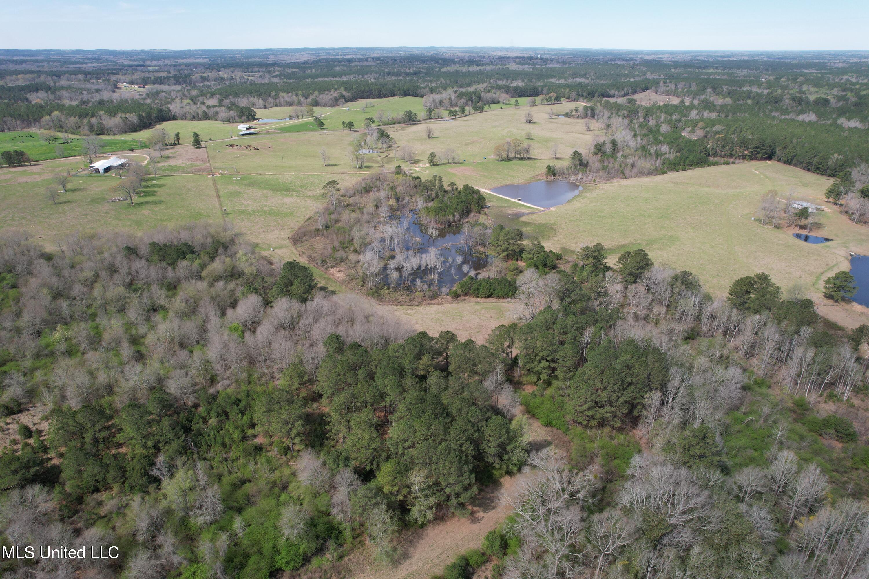 107 Co Road Pachuta, MS 39347 - Photo 33 of 107 DJI_0961