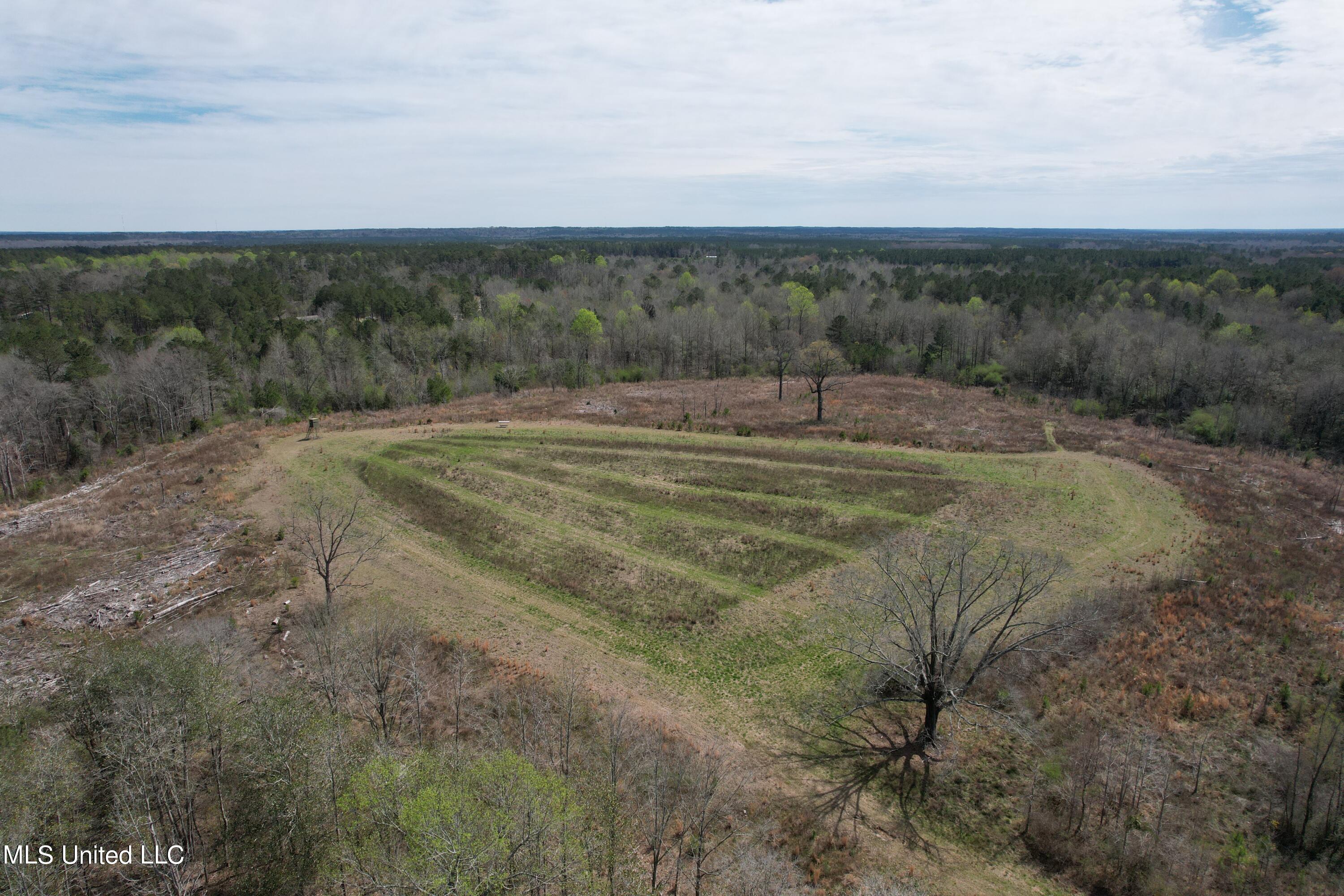 107 Co Road Pachuta, MS 39347 - Photo 38 of 107 DJI_0013