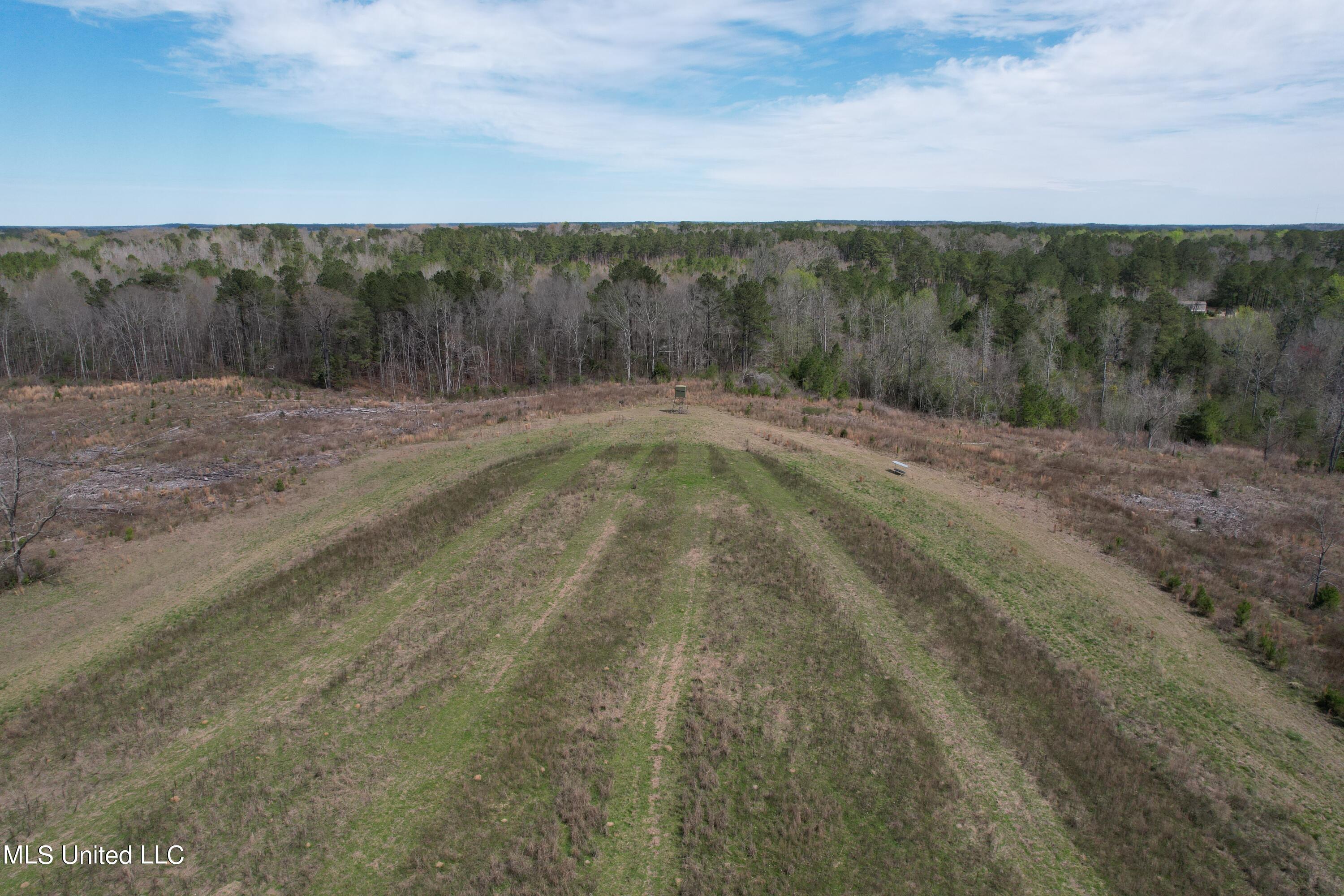107 Co Road Pachuta, MS 39347 - Photo 39 of 107 DJI_0014