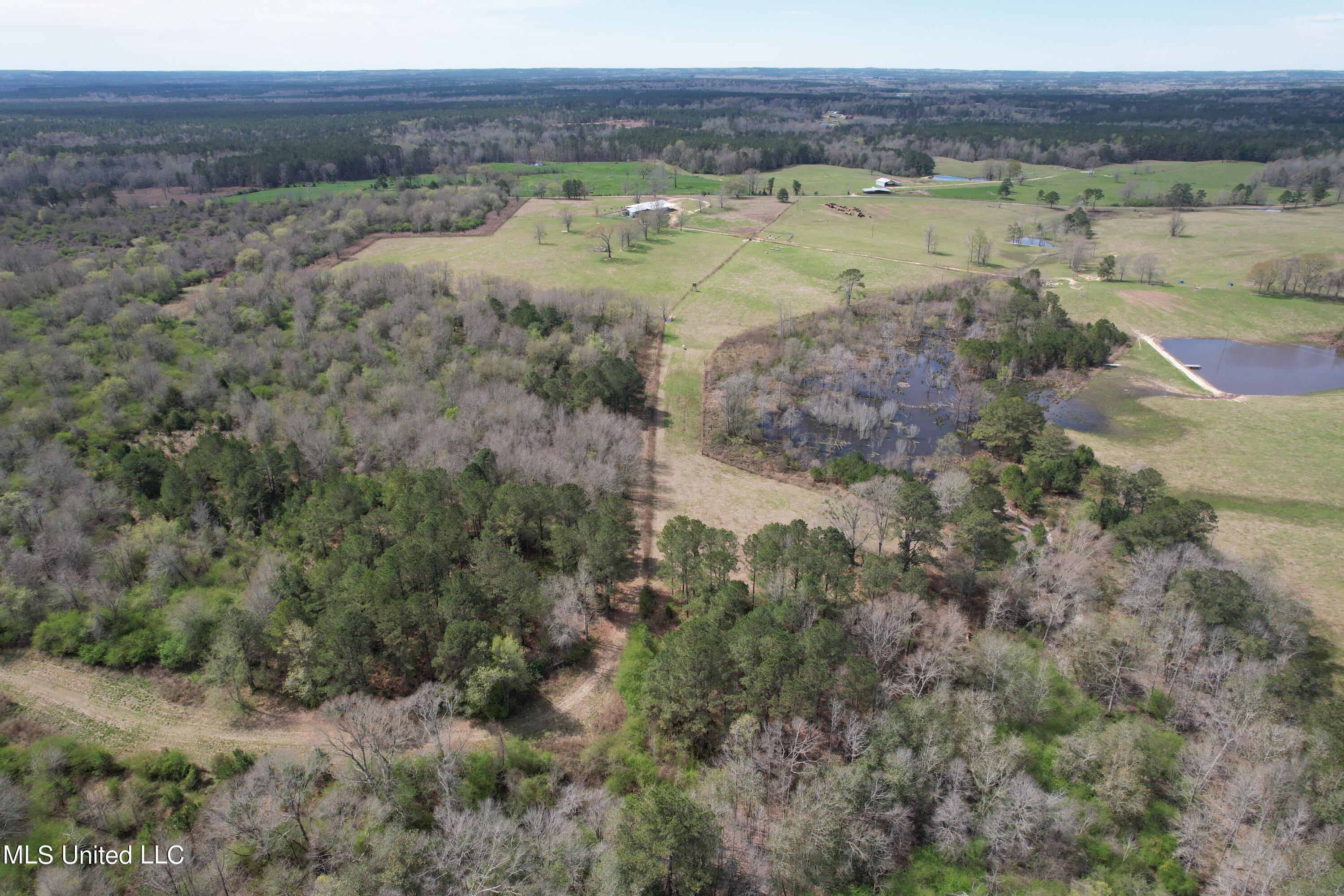 107 Co Road Pachuta, MS 39347 - Photo 40 of 107 DJI_0018
