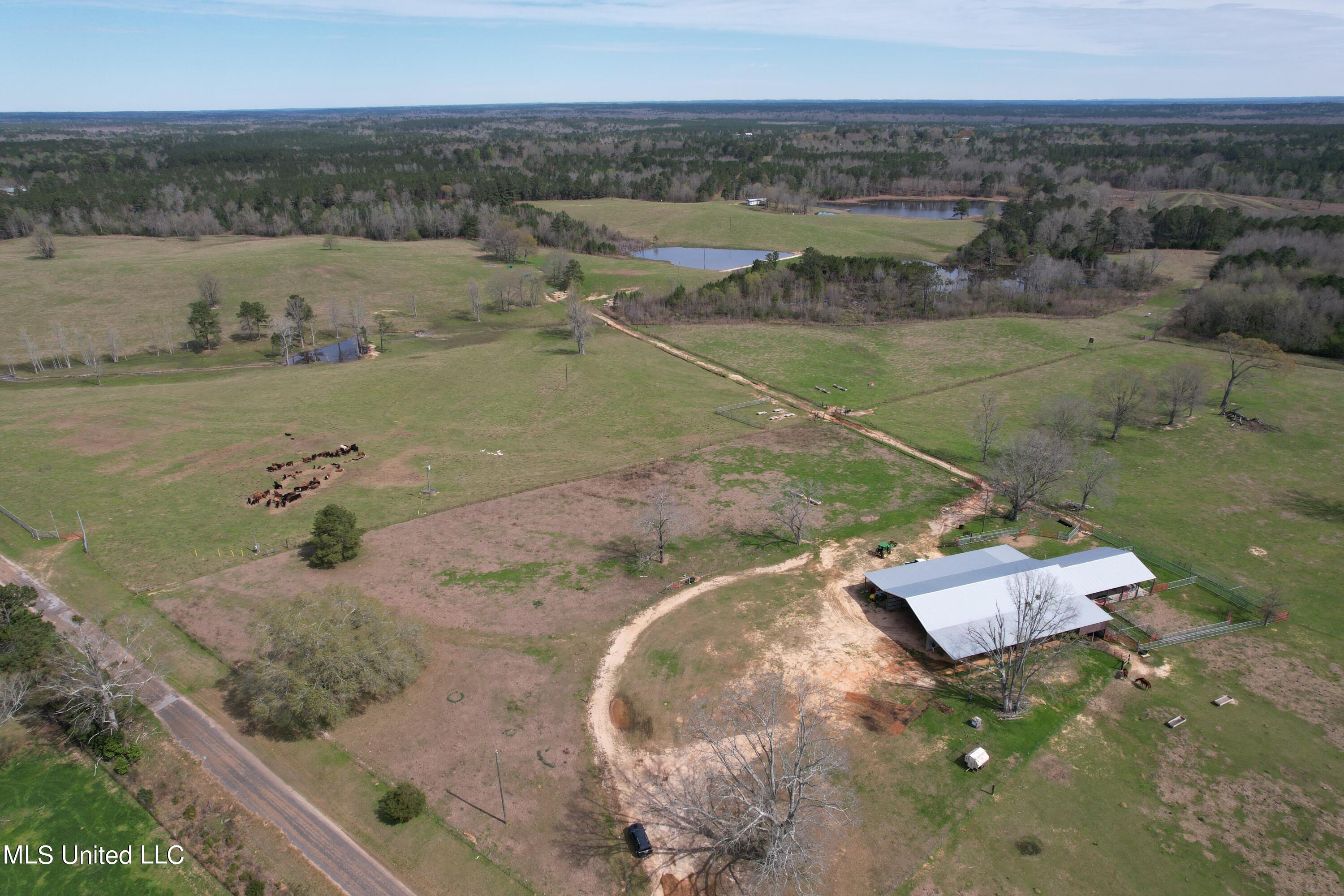 107 Co Road Pachuta, MS 39347 - Photo 4 of 107 DJI_0931