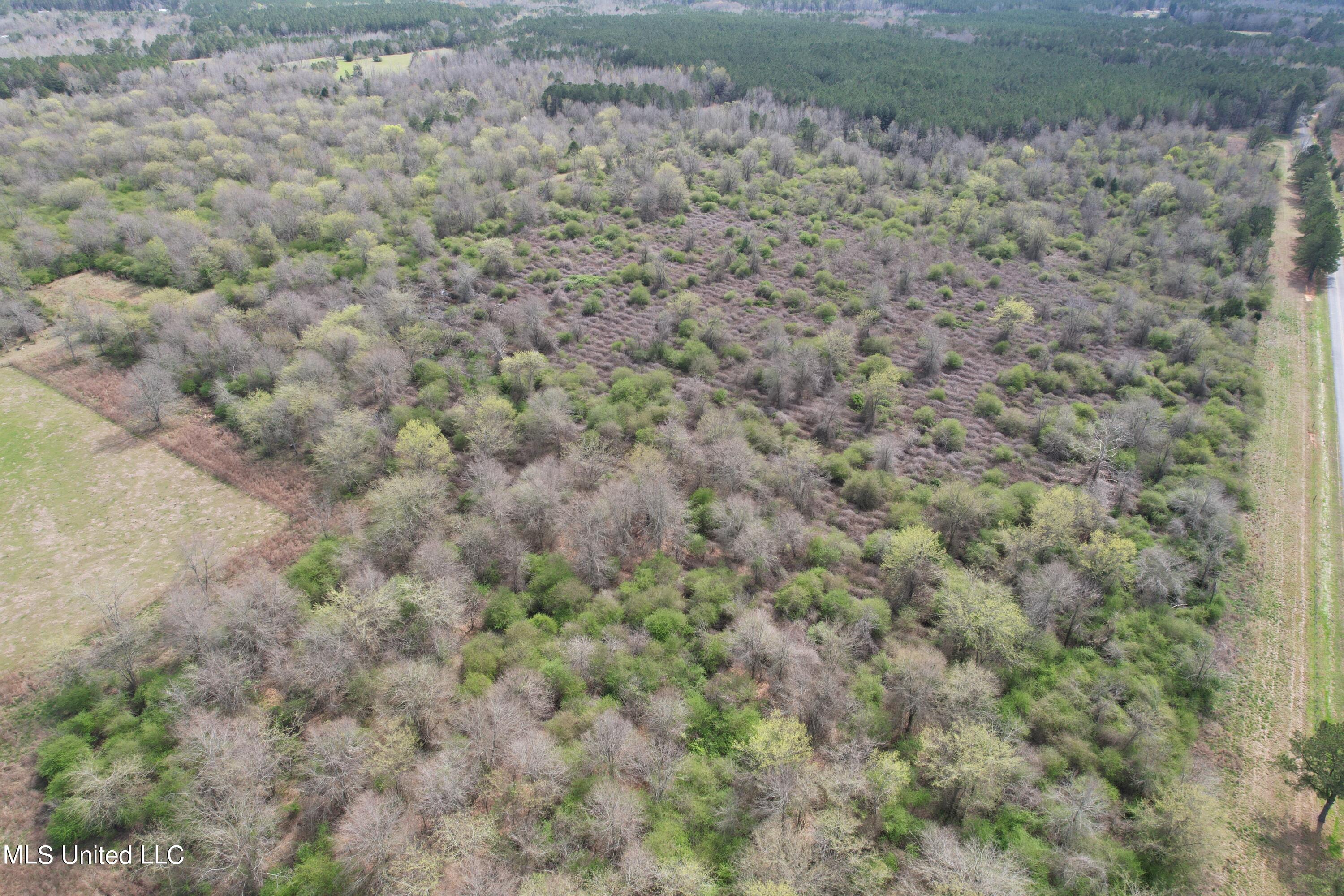 107 Co Road Pachuta, MS 39347 - Photo 41 of 107 DJI_0982