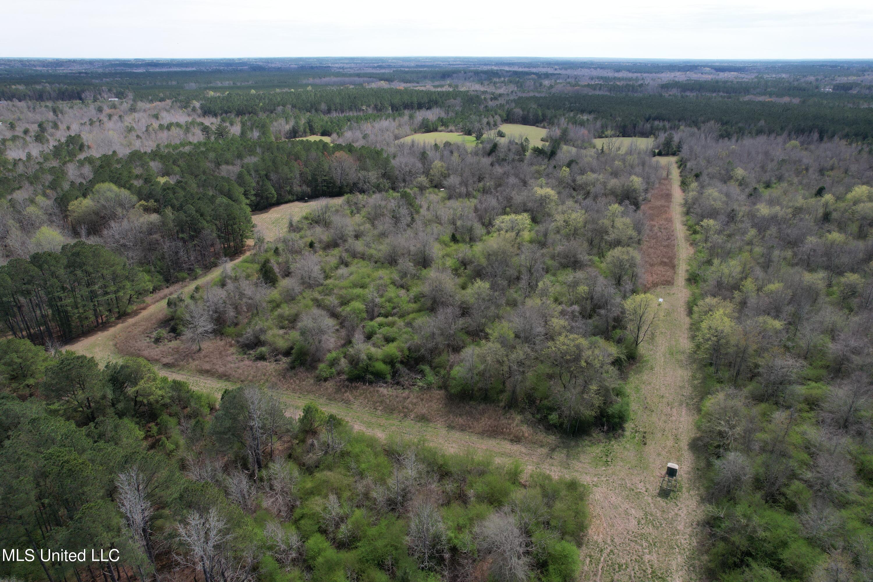 107 Co Road Pachuta, MS 39347 - Photo 43 of 107 DJI_0021