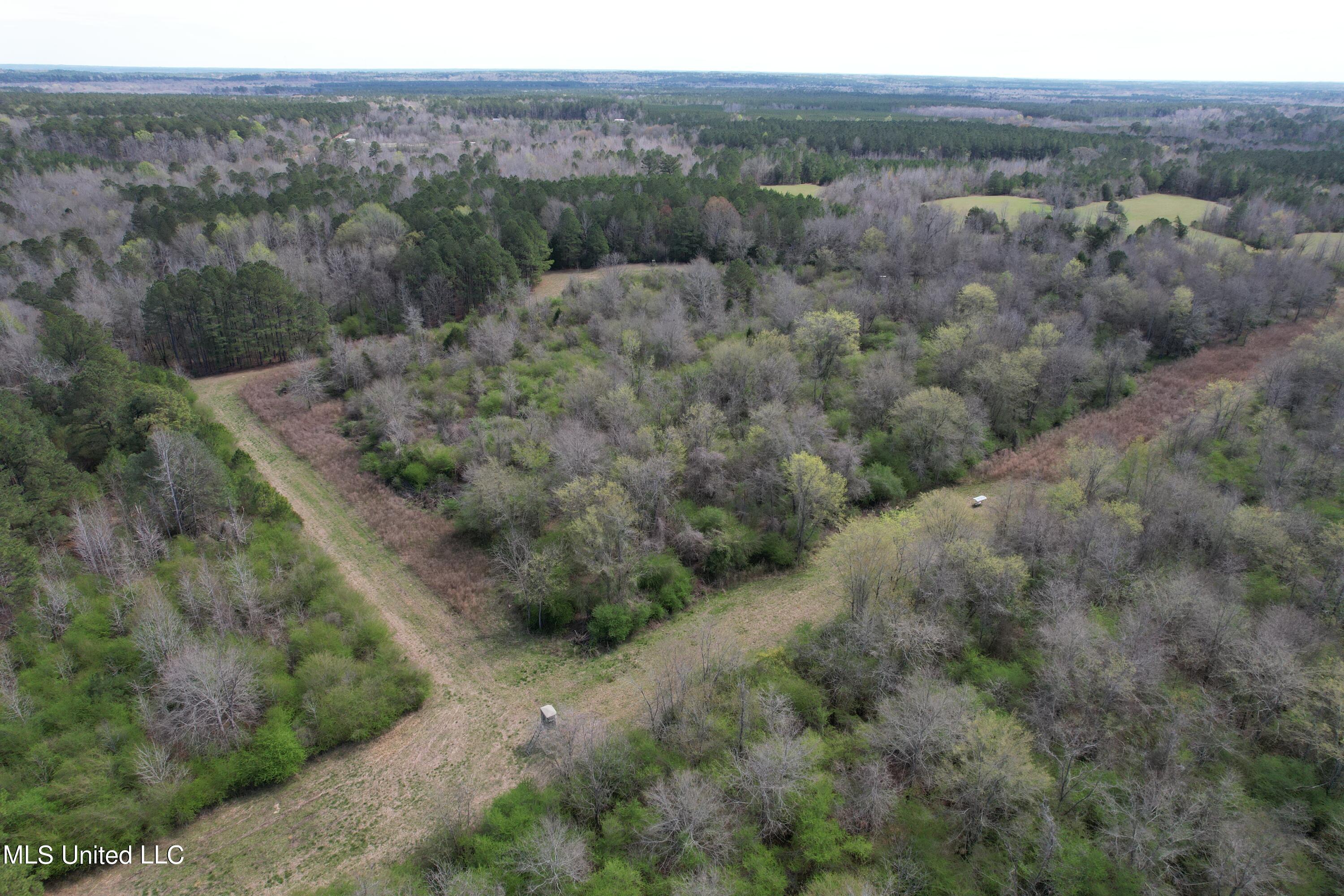 107 Co Road Pachuta, MS 39347 - Photo 44 of 107 DJI_0022