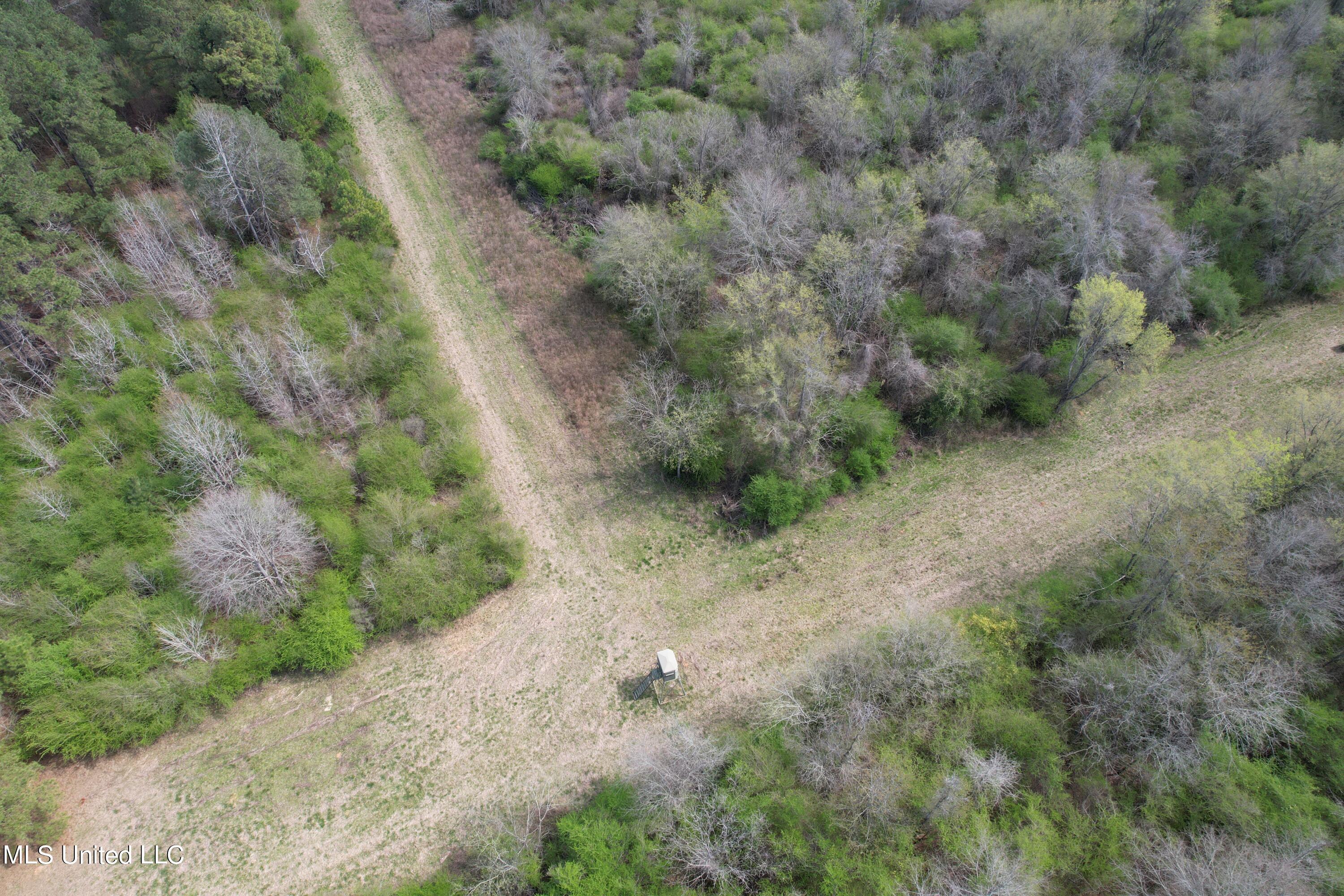 107 Co Road Pachuta, MS 39347 - Photo 45 of 107 DJI_0023
