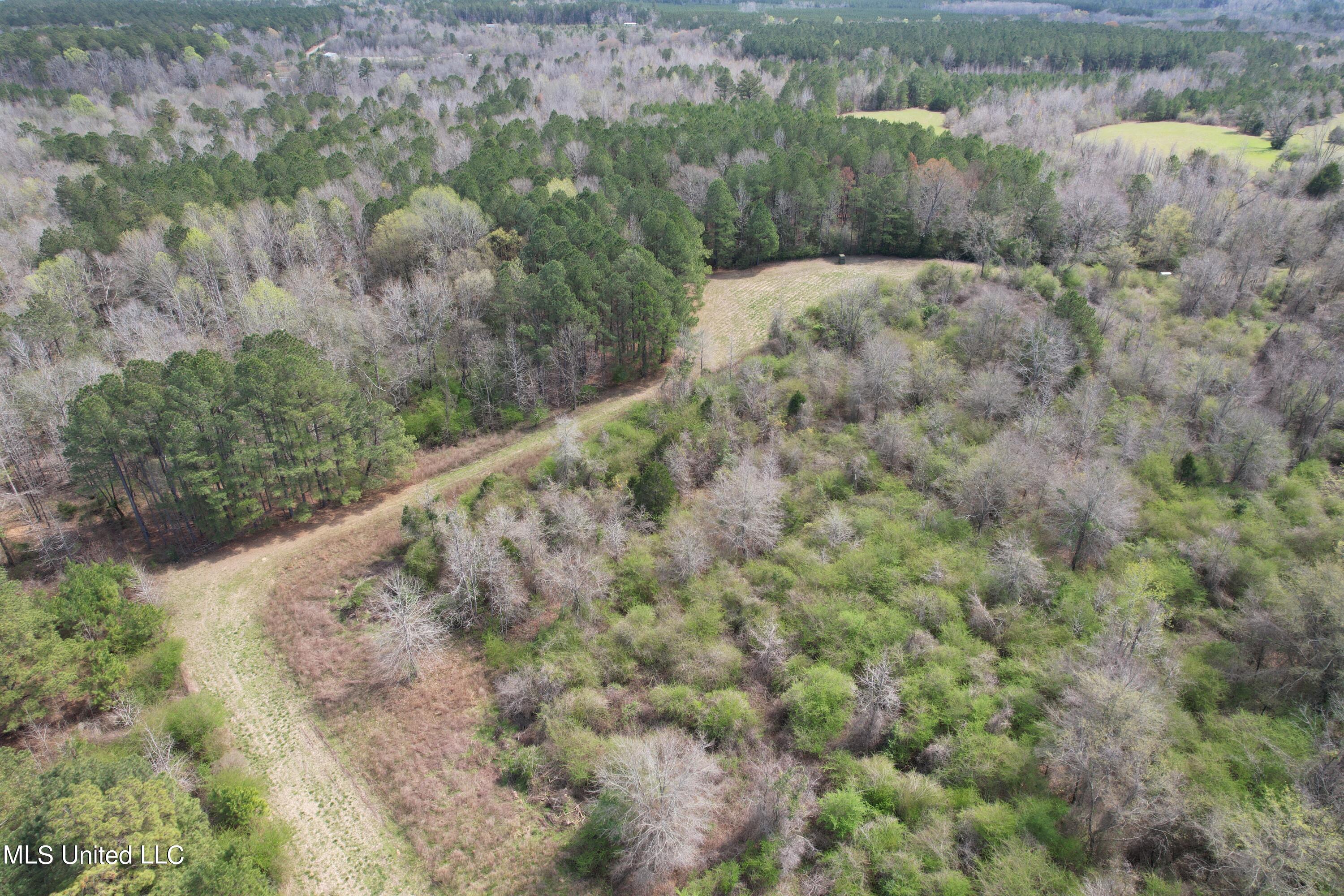 107 Co Road Pachuta, MS 39347 - Photo 46 of 107 DJI_0024