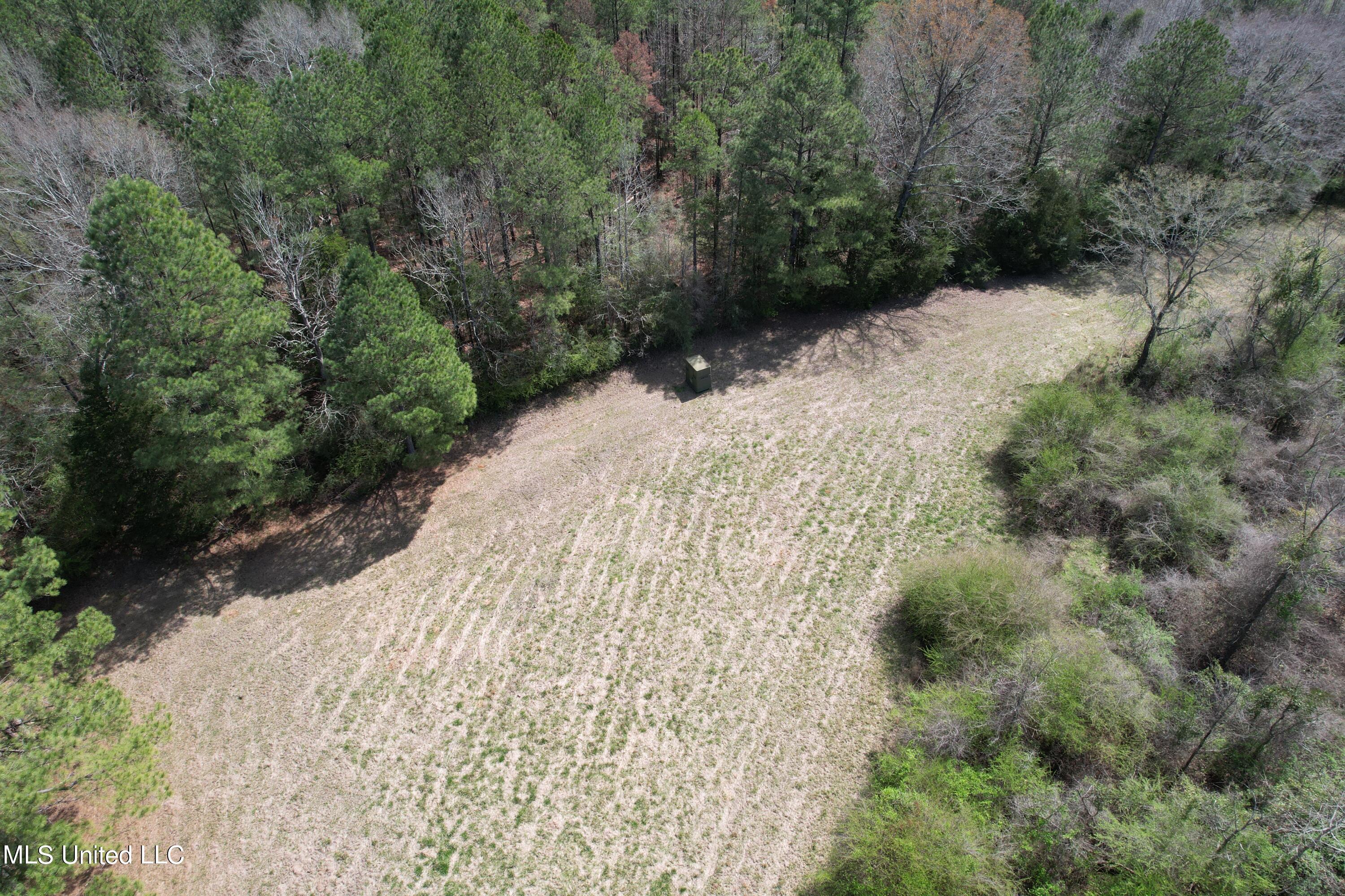 107 Co Road Pachuta, MS 39347 - Photo 47 of 107 DJI_0025